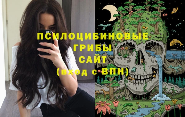 амфетамин Богородск