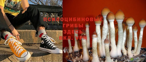 бошки Богданович