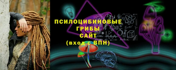 бошки Богданович